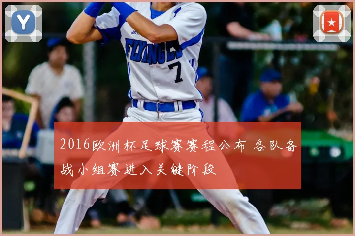 2016欧洲杯足球赛赛程公布 各队备战小组赛进入关键阶段