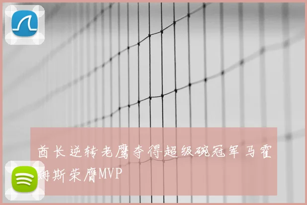 酋长逆转老鹰夺得超级碗冠军马霍姆斯荣膺MVP