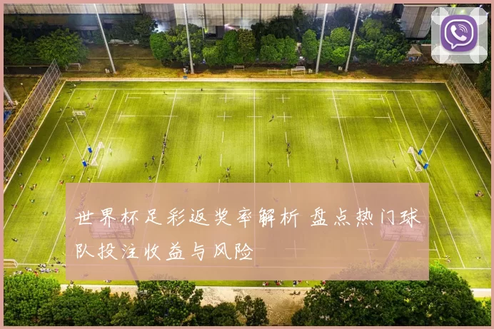 世界杯足彩返奖率解析 盘点热门球队投注收益与风险