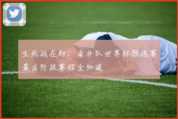 生死战在即：南非队世界杯预选赛最后阶段赛程全知道