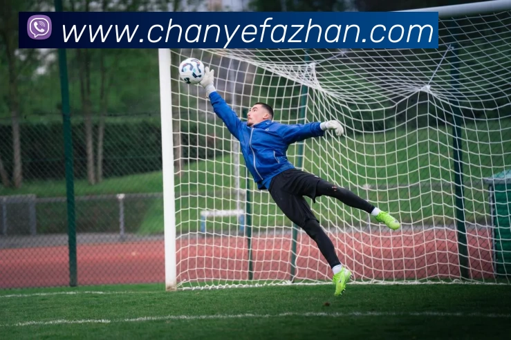 星空·体育(xingkong.com)官方网站平台生态图