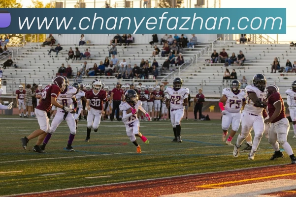 数据防护可视化